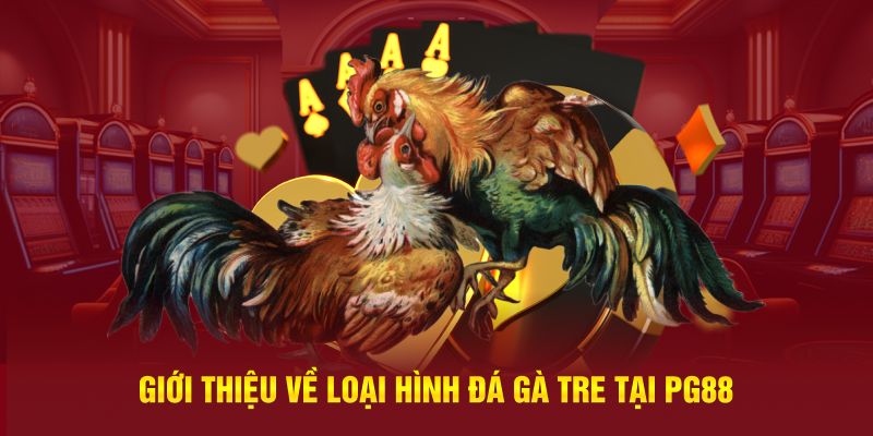 Giới thiệu về loại hình đá gà tre tại PG88