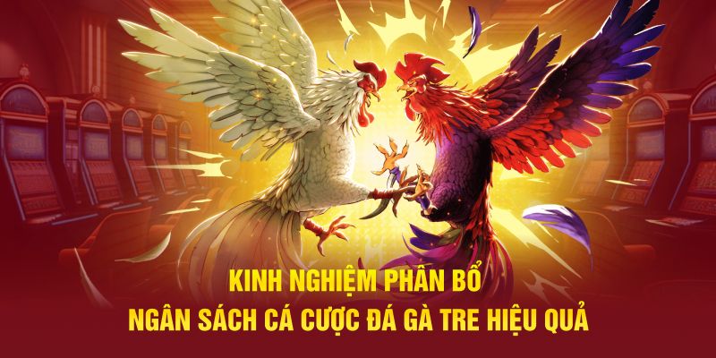 Kinh nghiệm phân bổ ngân sách cá cược đá gà tre hiệu quả