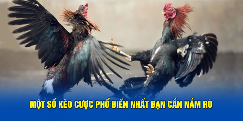 Một số kèo cược phổ biến nhất bạn cần nắm rõ