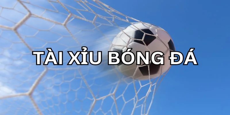 Kèo tài xỉu - Cá độ bóng đá kiểu nhồi xỉu